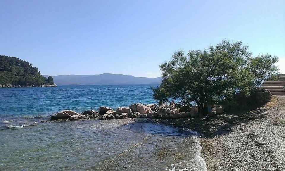Apartmani Kremena Small Beach 200M Klek Eksteriør billede